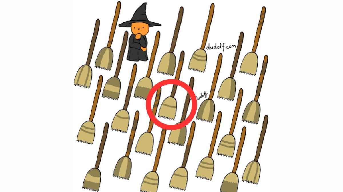 the odd broomstick is here