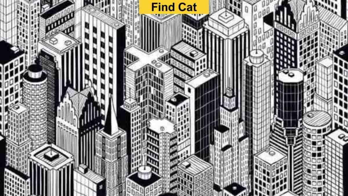 People with sharpest eyes can spot the cat among skyscrapers in 7 seconds!