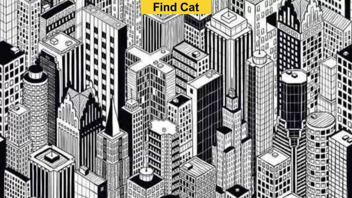 Find cat among skyscrapers