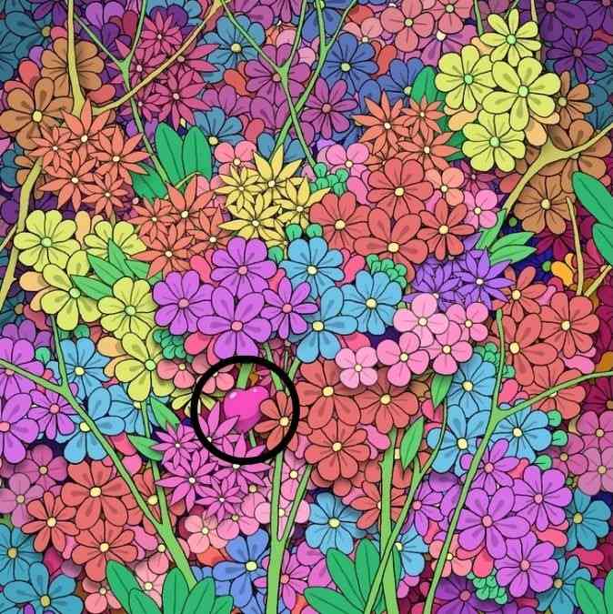 picture puzzles with answers