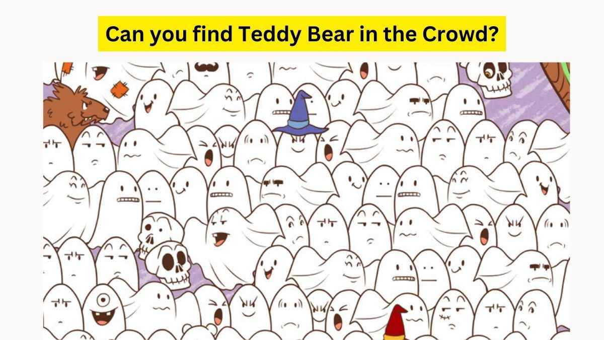 Spot the Teddy Bear