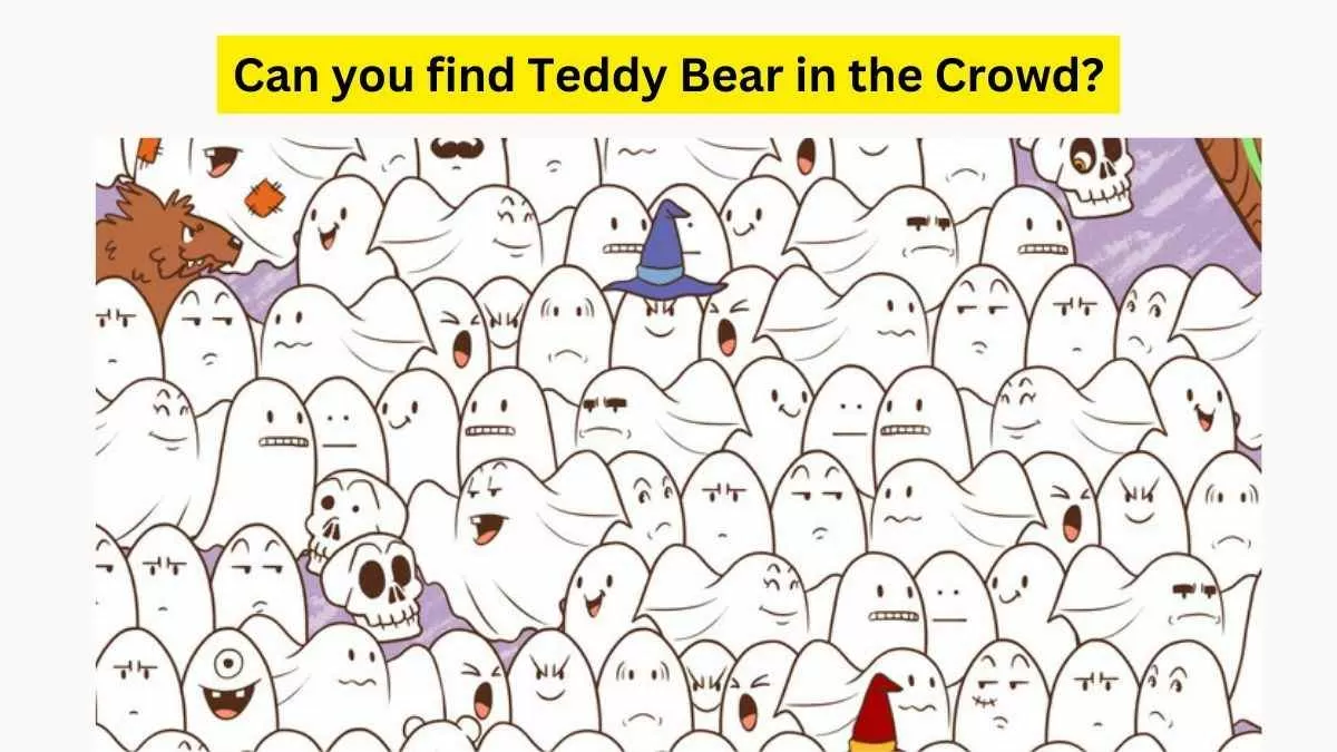 find a teddy bear