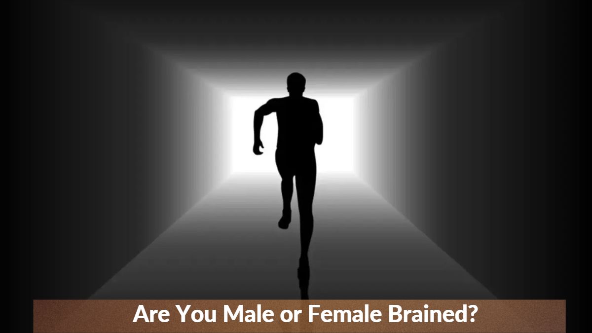 Optical illusion to know if you have a male or female brain