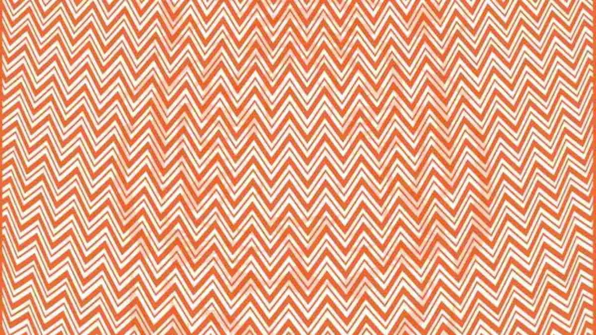 Optical Illusion for Testing Your IQ