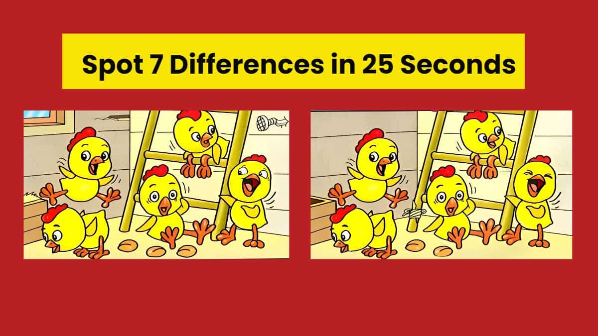 Spot 7 Differences in 25 Seconds