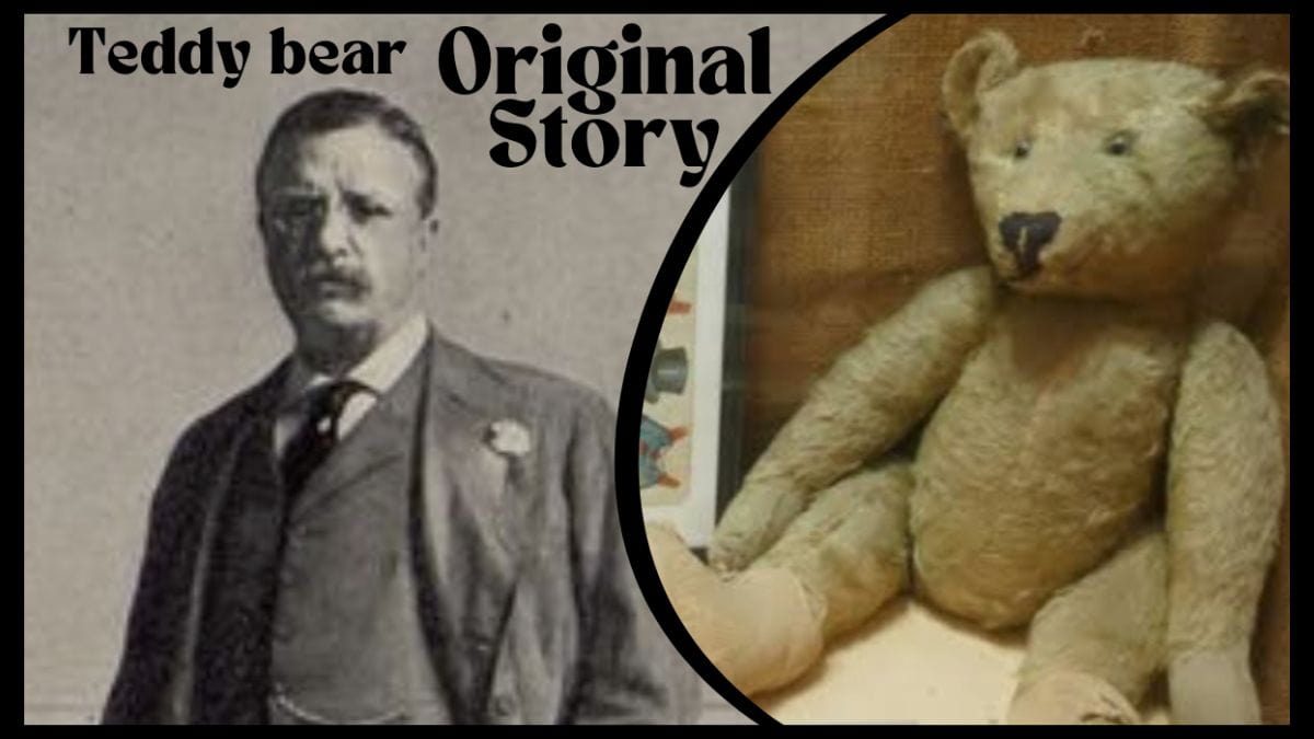Teddy Bear Was Invented In Honor Of President Theodore Roosevelt: Check The Original Story Here