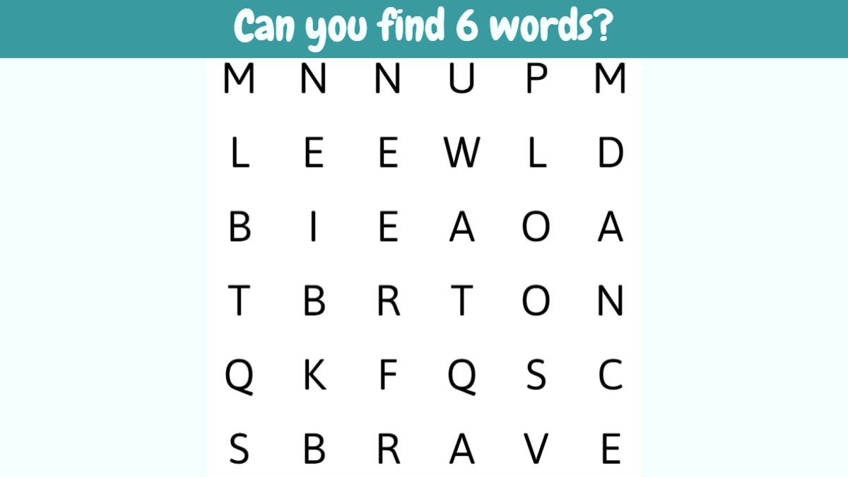 Word Search Puzzle: Can You Spot 6 Words Hidden In The Image In 29 Seconds?