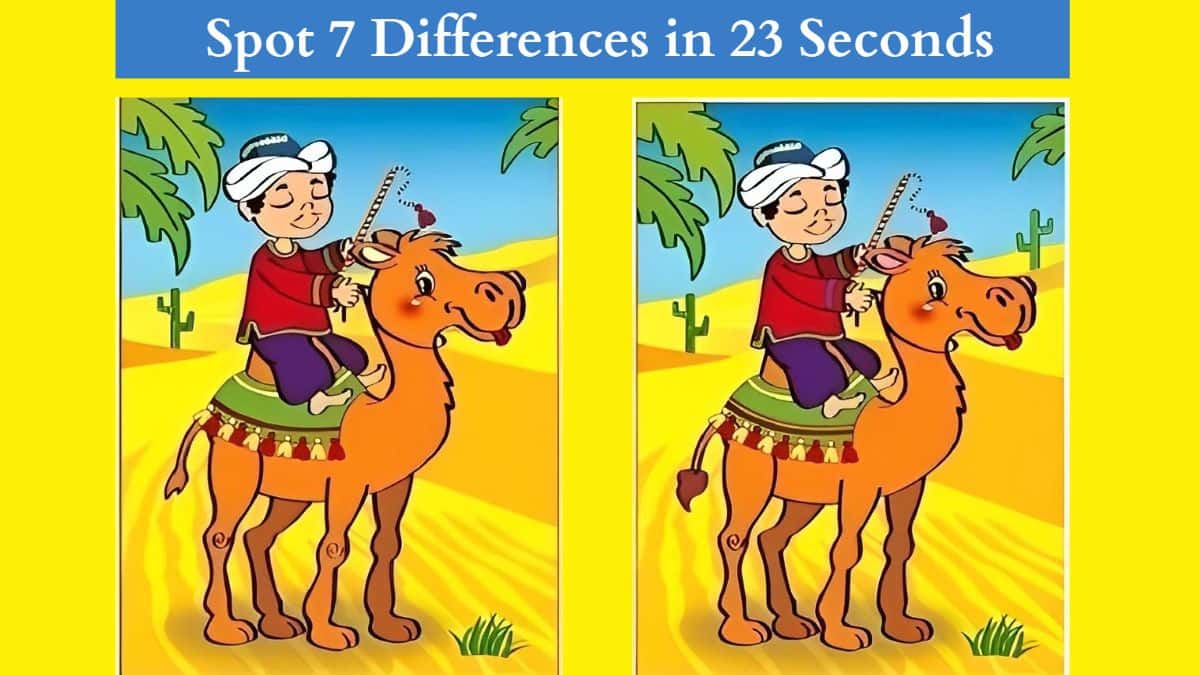 Spot 7 Differences in 23 Seconds