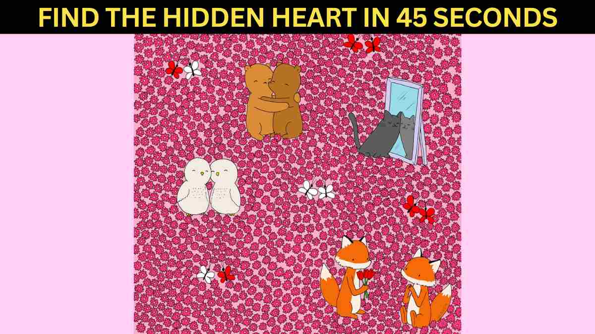 Brain Teaser IQ Test: Can You Find The Hidden Heart In 45 Seconds? Even Einstein Would Fail!