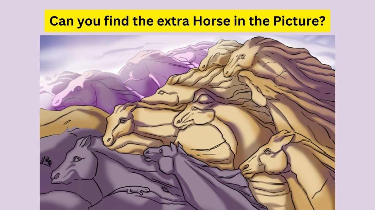 Horse or Horse, count the right number