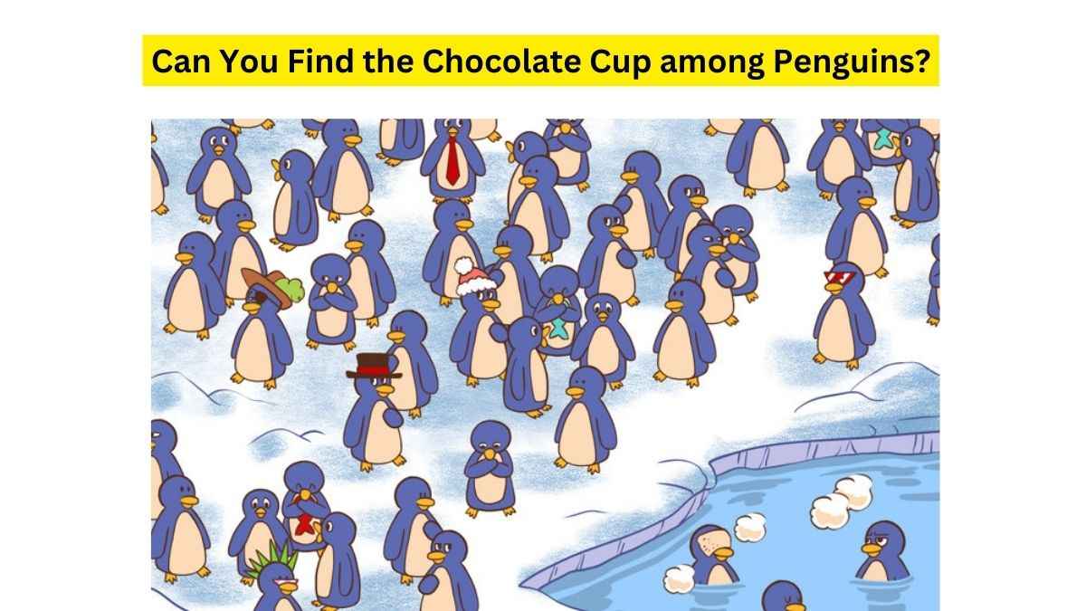 Spot the Cup of Chocolate in the hands of Penguins.