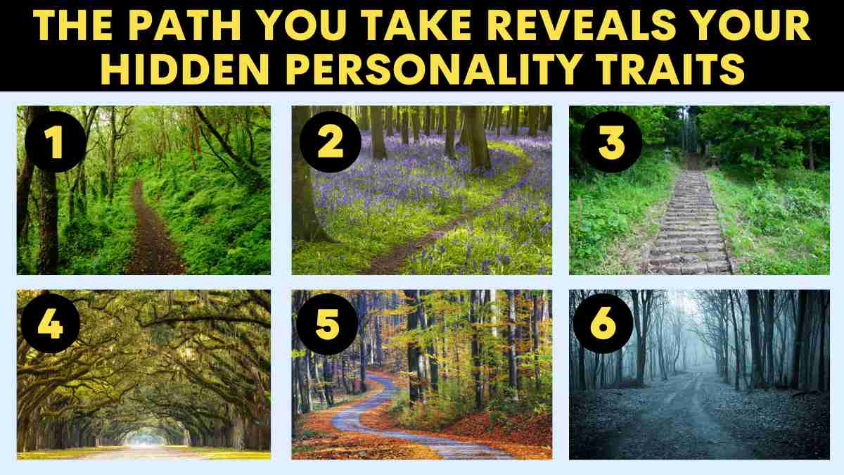 Personality Test: The Forest Path You Choose Reveals Your Hidden ...