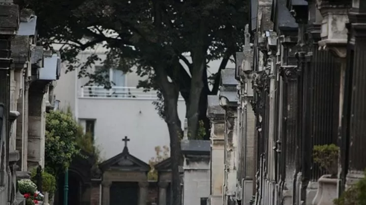 Optical Illusion IQ Test: We Bet You Can't Find The Cat On The Street In 9 Secs!