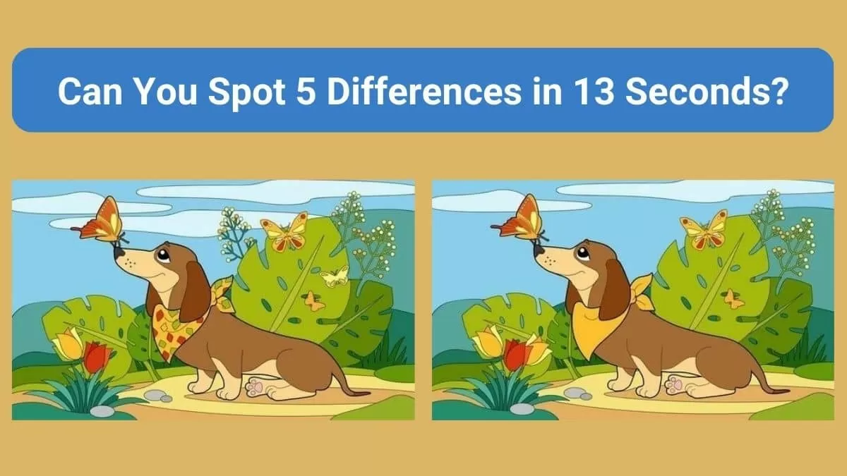 Find The Differences Five Spot The Difference Can You Spot 5