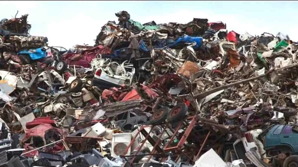 Find the hidden dog!