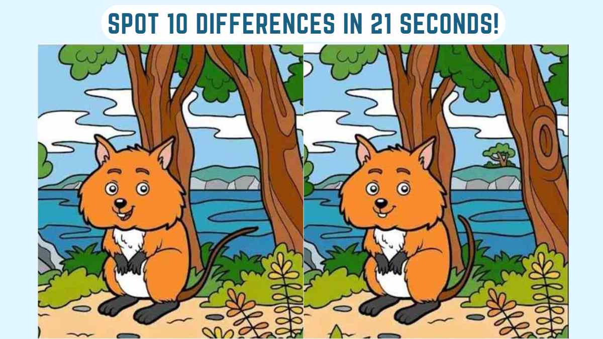 Spot The Difference: Can You Spot 10 Differences Between The Images In 21 Seconds?