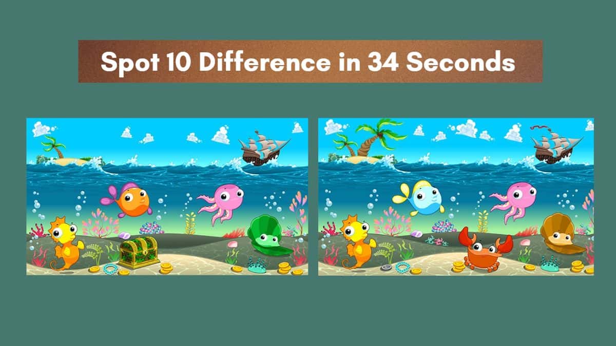Spot 10 Differences in 34 Seconds