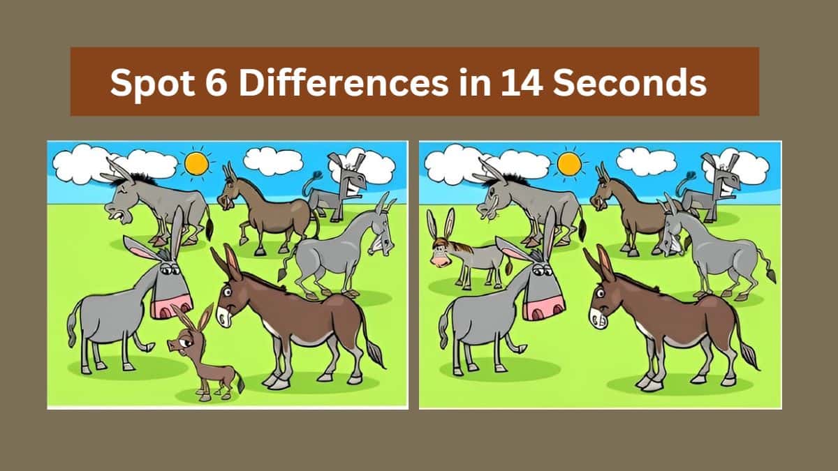Spot 6 Differences in 14 Seconds