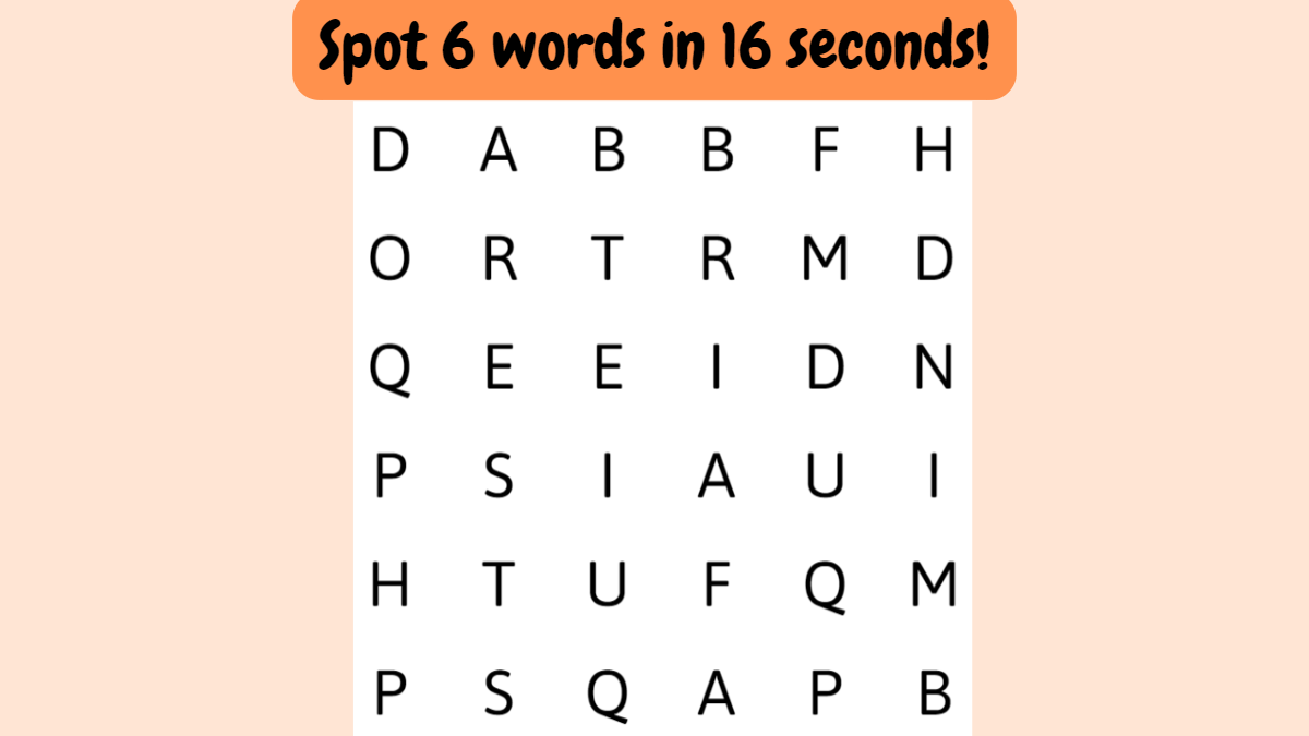 Word Search Puzzle: Can You Spot 6 Words Hidden In The Image In 16 Seconds?