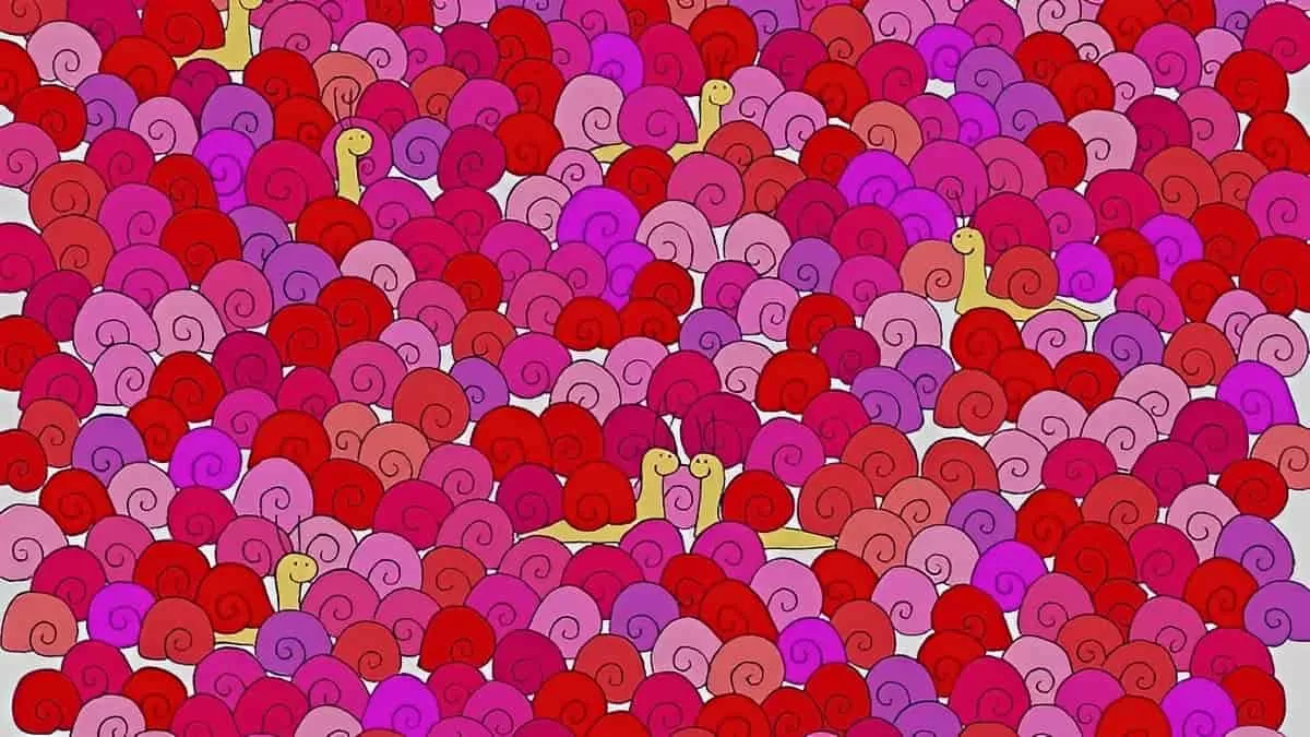 Find Heart in 5 Seconds