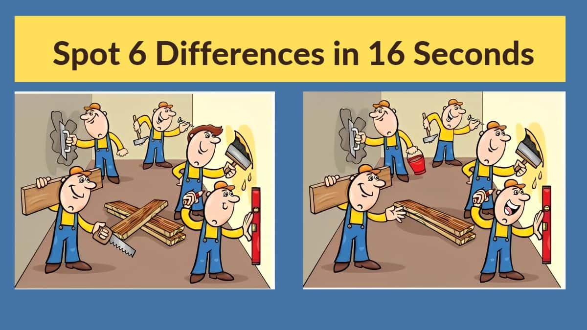 Spot 6 Differences in 16 Seconds