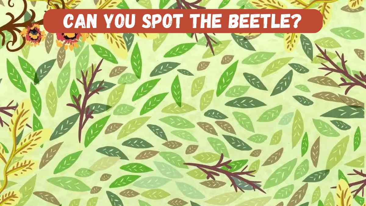 The World's Oldest Optical Illusion