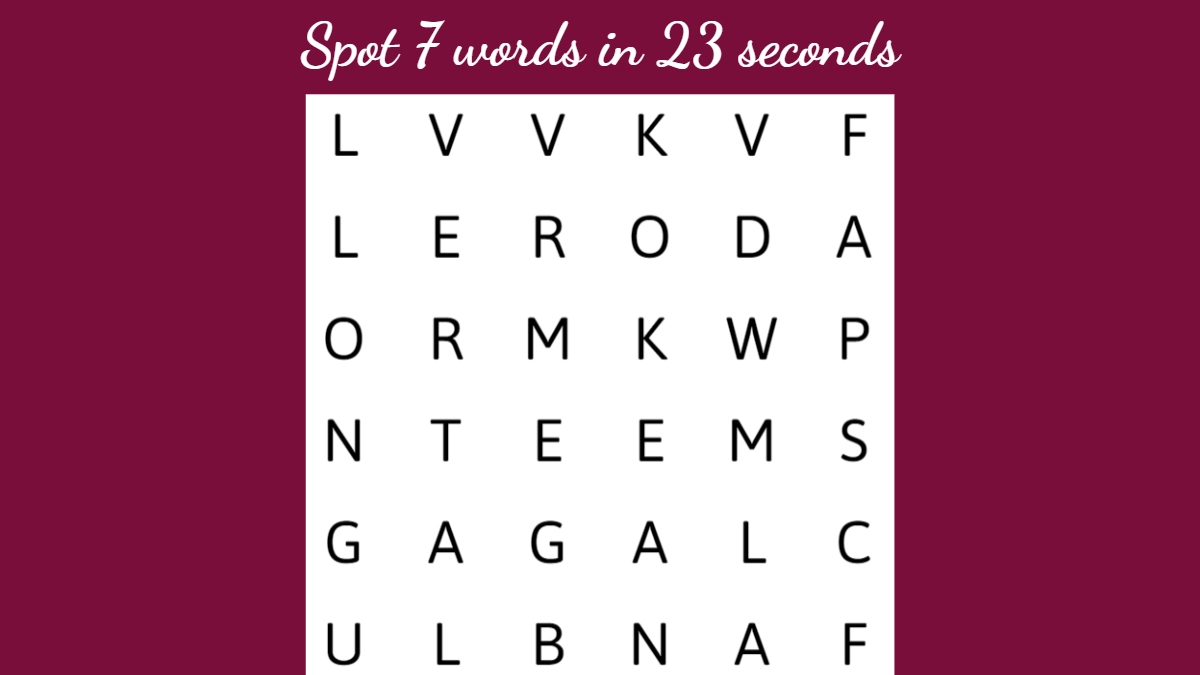 Valentine Word Search Puzzle: Spot 7 Words Hidden In The Image In 23 Seconds!