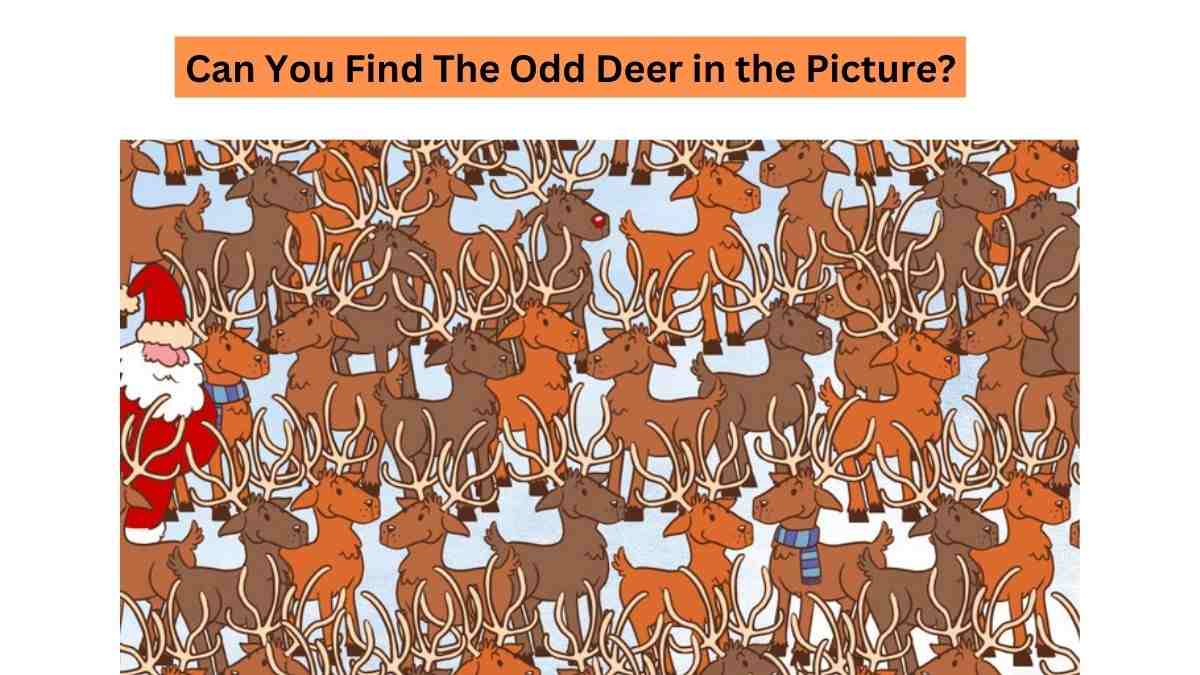 Find a Deer in the Picture