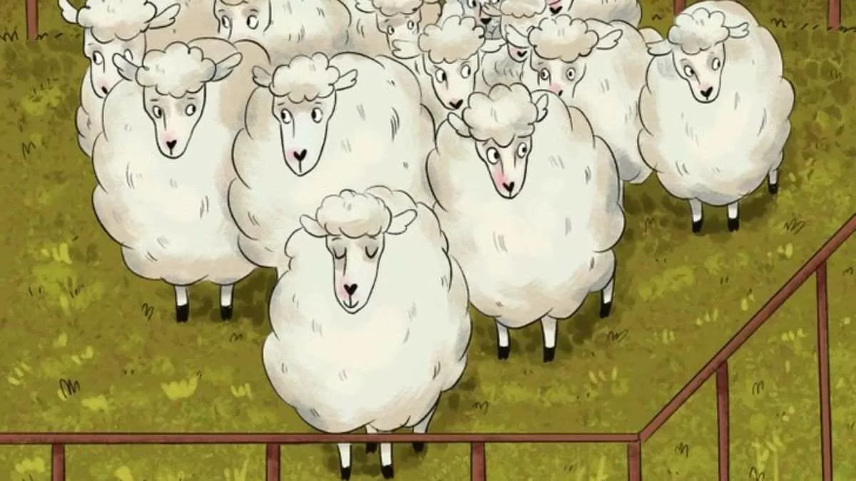 Optical Illusion For Testing Your Iq Can You Spot Hidden Wolf Among The Group Of Sheep In 5 Secs 
