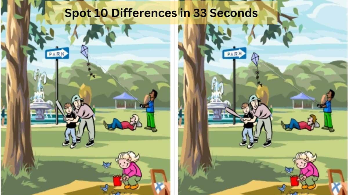 Spot 10 Differences in 33 Seconds