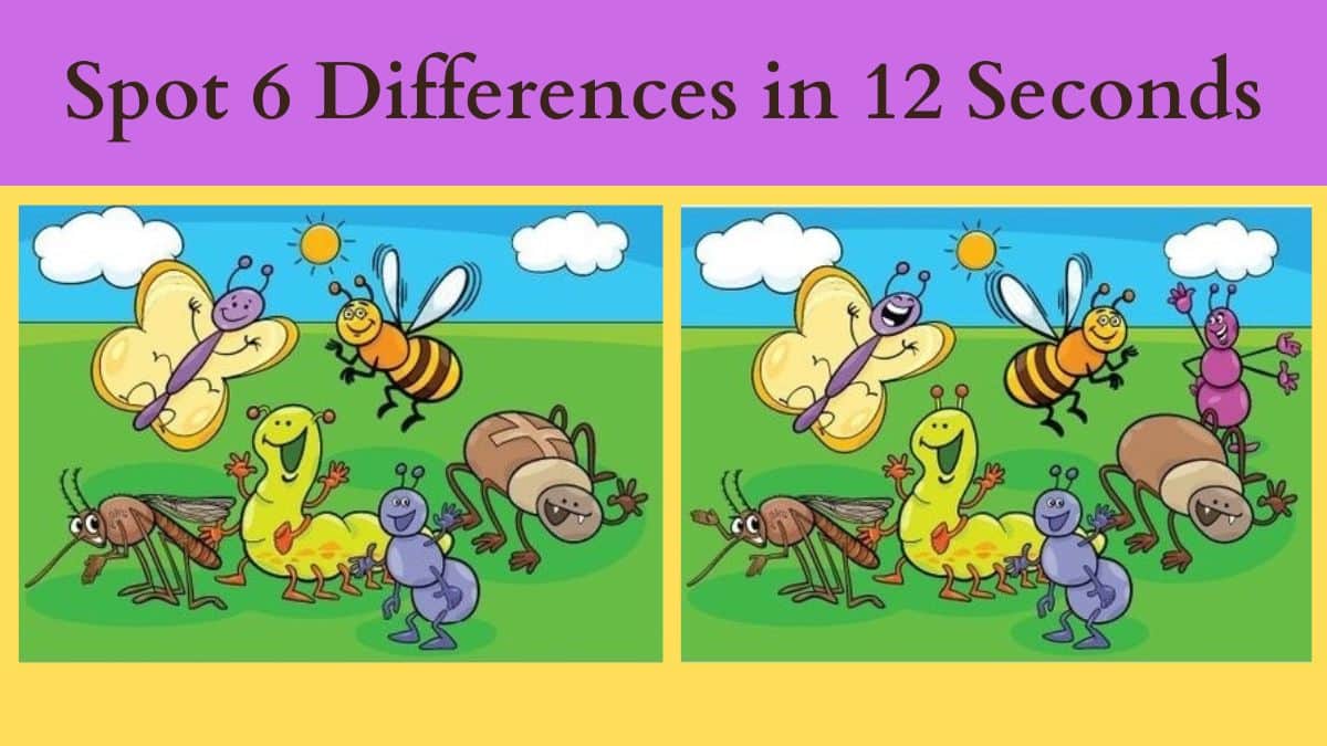 Spot 6 Differences in 12 Seconds