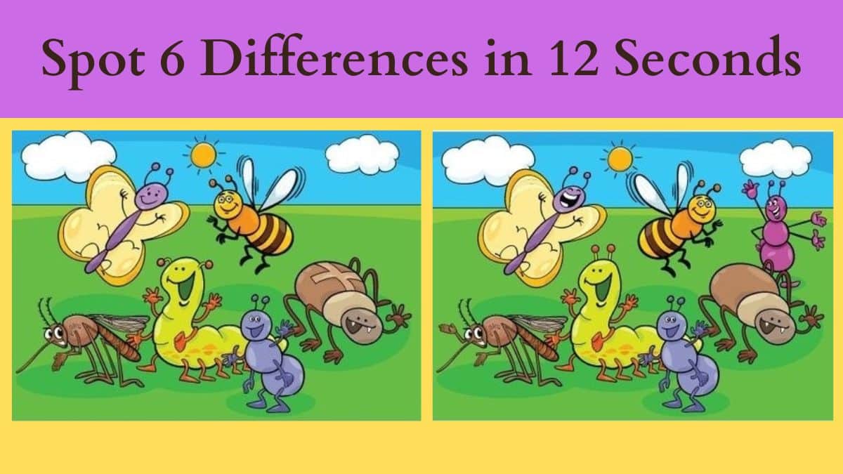 Spot The Difference Can You Spot 6 Differences Between The Two Images 