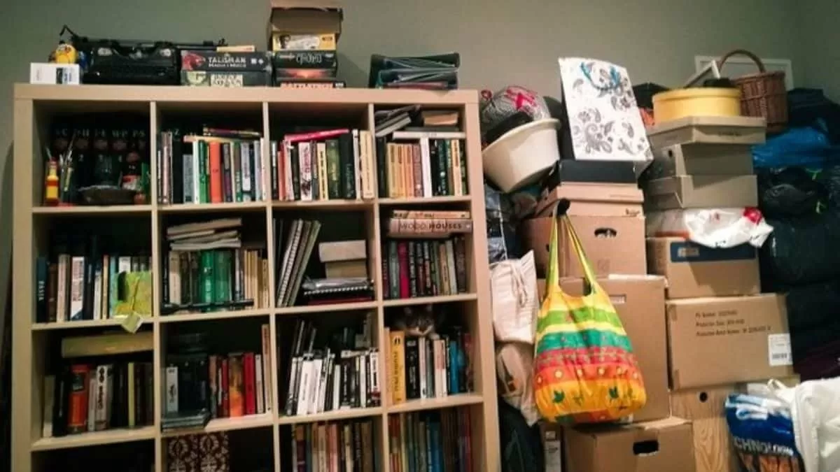 Find Cat in the room in 5 seconds