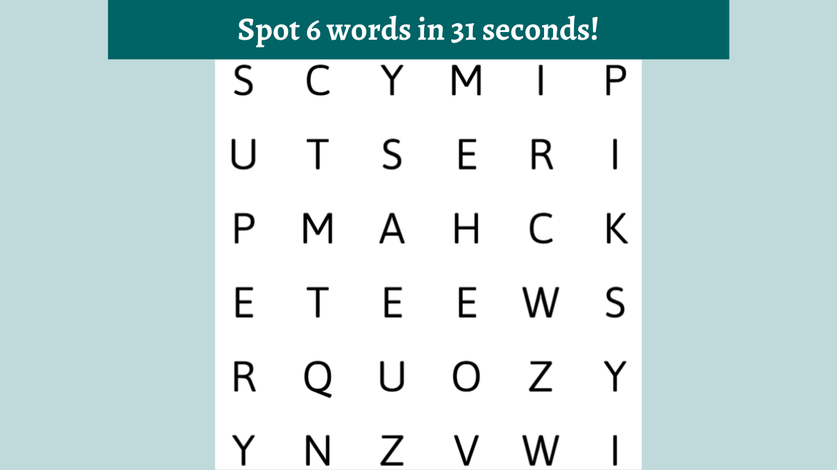Word Search Puzzle- Spot 6 Hidden Words In 31 Seconds
