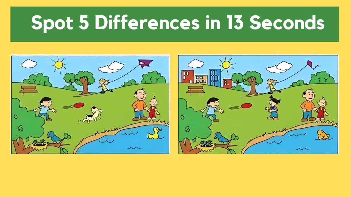 Spot 5 Differences in 13 Seconds