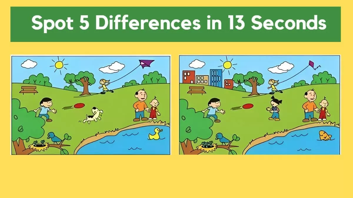 Spot The Difference: Can you spot 5 differences between the two images in  13 seconds?