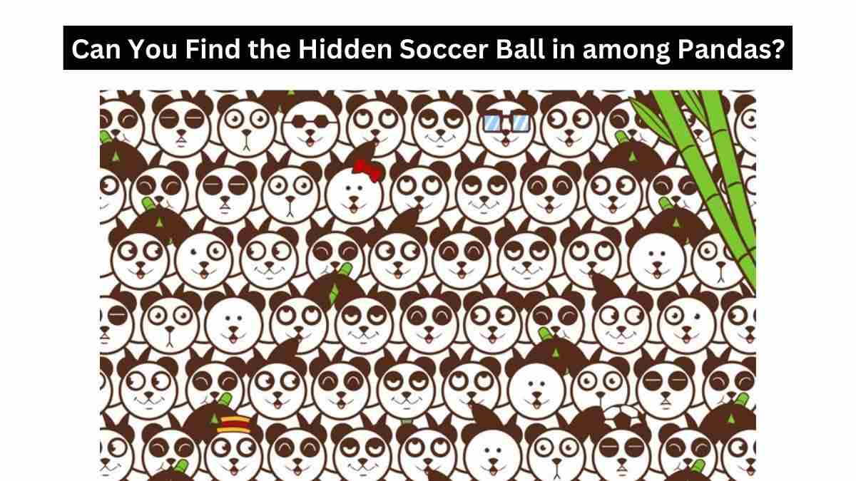 Solve this mystery of Soccer Balls and Pandas.