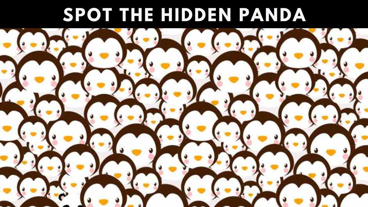 Optical Illusion IQ Test: You Have Hawk Eyes If You Can Spot The Panda hidden Among Penguins In 7 Seconds!