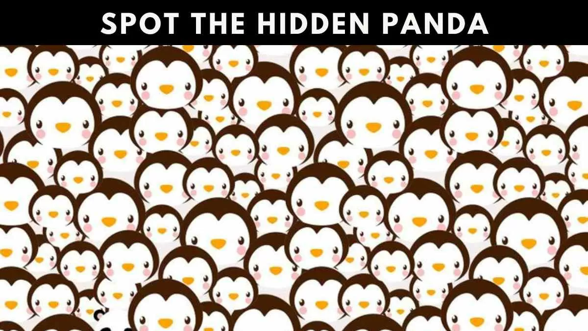 Optical Illusion Iq Test You Have Hawk Eyes If You Can Spot The Panda Hidden Among Penguins In