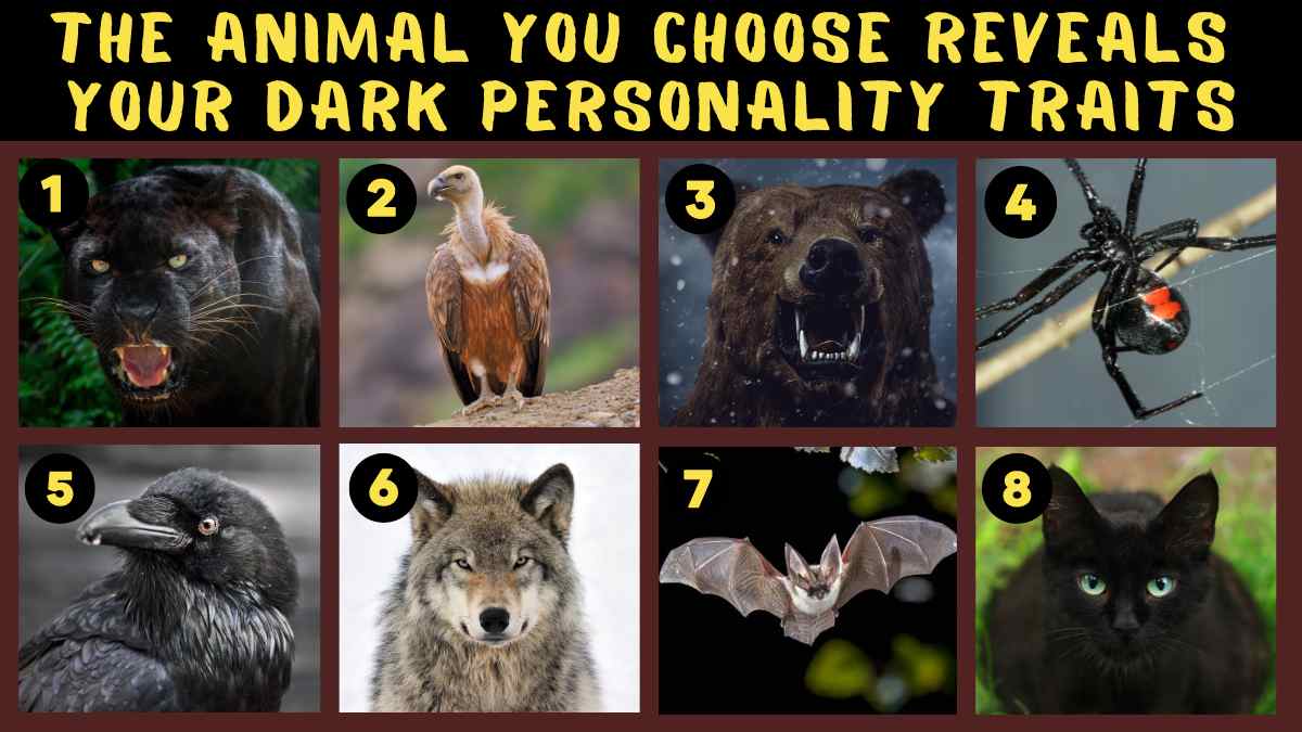 Personality Test: The Animal You Choose Reveals Your Dark Personality Traits