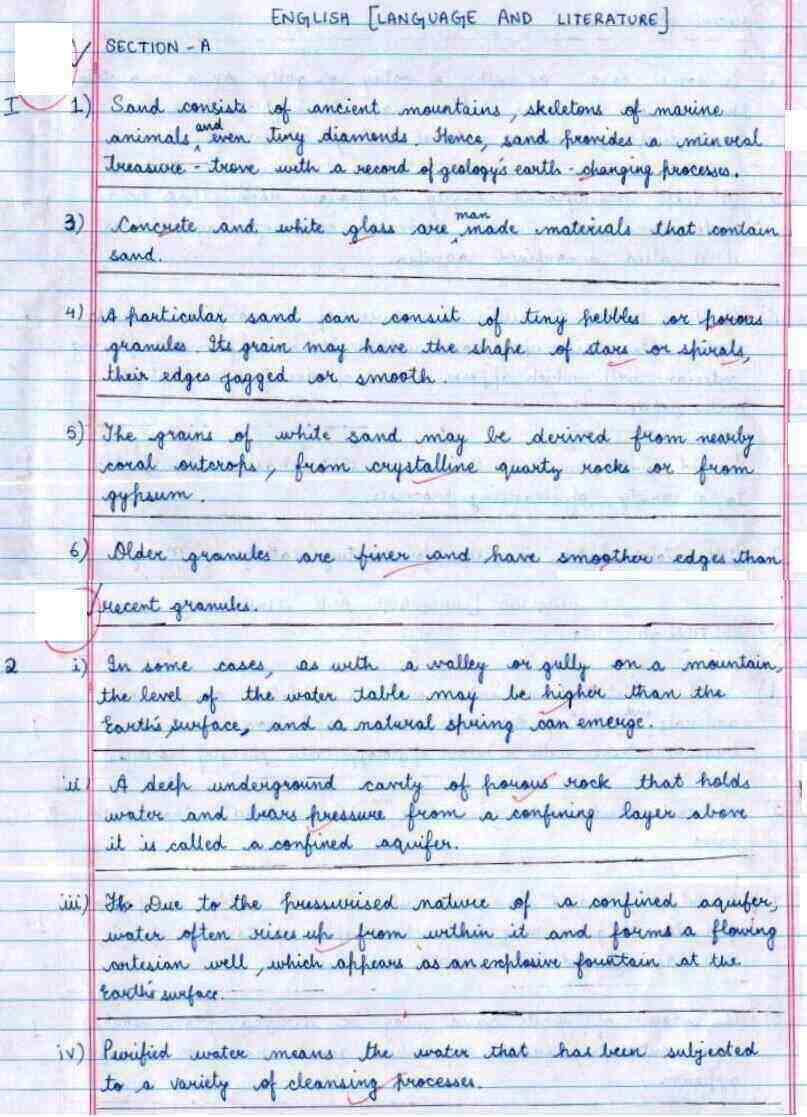 essay for class 5 cbse