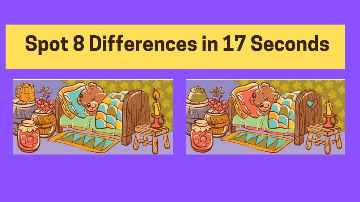 Spot 8 Differences in 17 Seconds