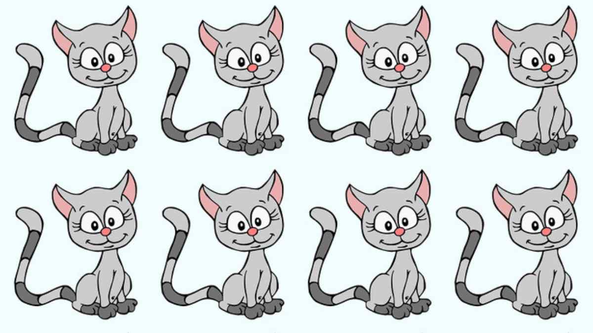 Brain Teaser IQ Test- Spot The Odd Cat In 6 seconds!