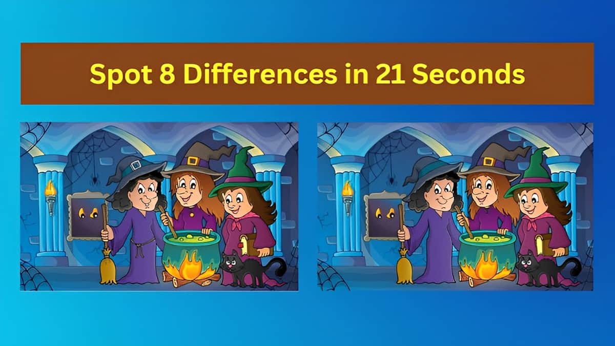 Spot 8 Differences in 21 Seconds