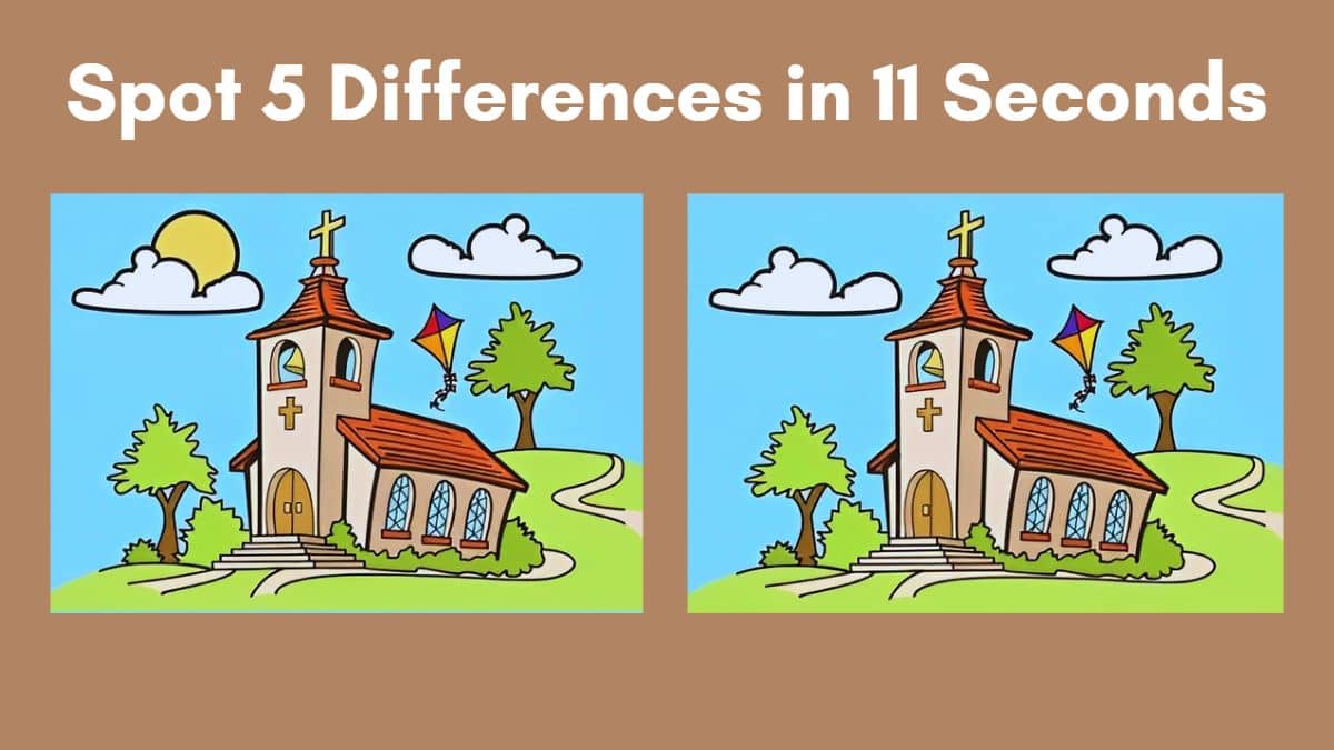 Spot 5 Differences in 11 Seconds