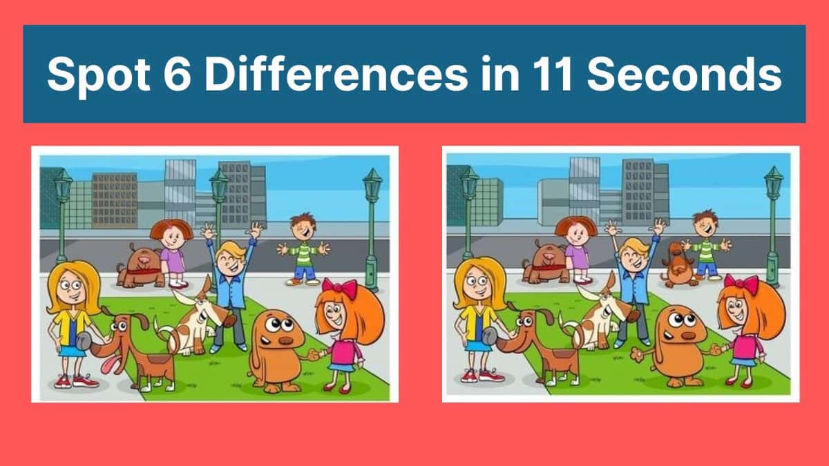 Spot 6 Differences in 11 Seconds