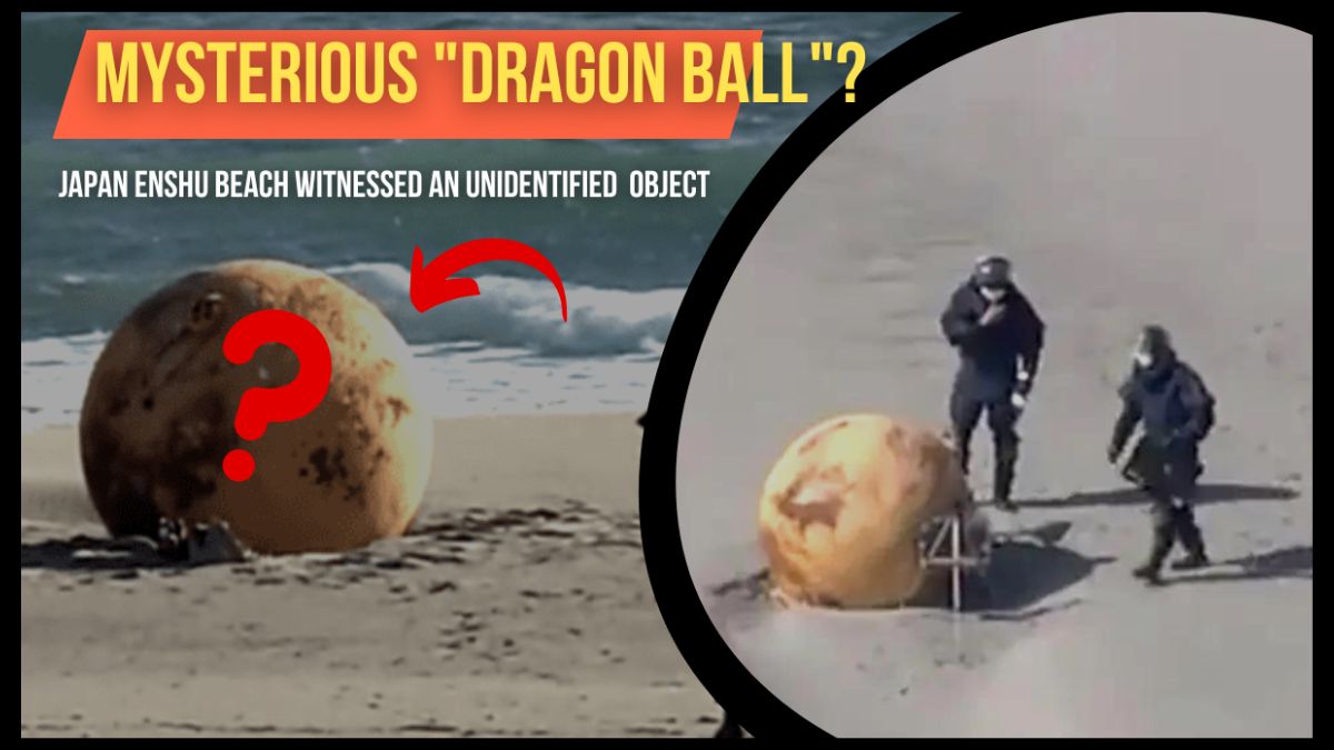 Japan Witnessed A Mysterious Iron Ball Washed Up On The Enshu Beach Shore! Check Details