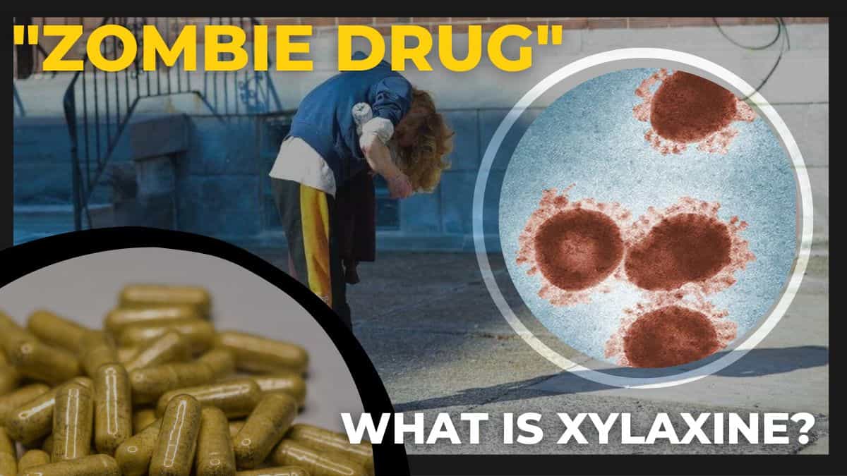 What Is Xylazine? How Is The Drug “Zombifying”  People’s Bodies? All You Need To Know 