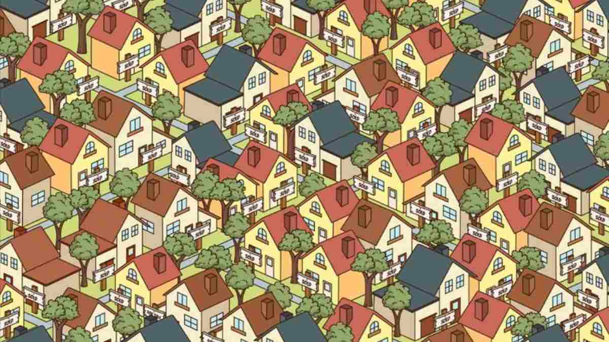Brain Teaser IQ Test- Spot the house with the For Sale sign in 9 seconds!