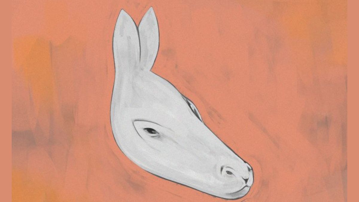 Optical Illusion Challenge: Donkey or Seal? What do you see in this